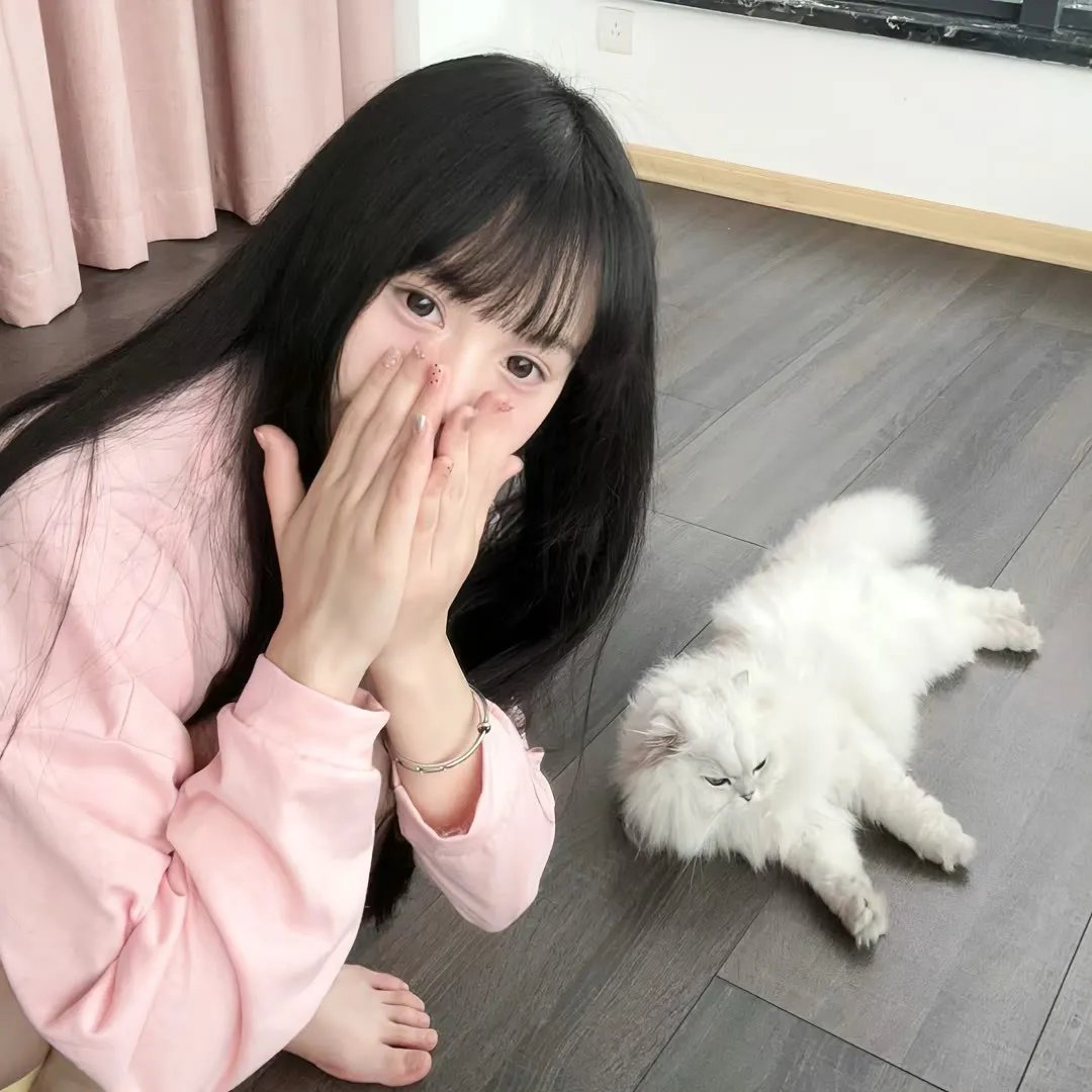 宝石宠物 国语版